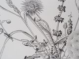a drawing of flowers in a vase on a table