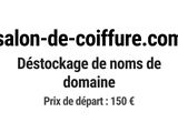 Photo 1/1 du lot
