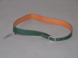 laisse pour chien en cuir vert et orange avec une boucle argentée