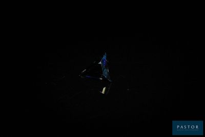 photo nocturne d'un oiseau volant dans le ciel sombre