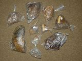 many bags of bread sitting on the floor next to each other