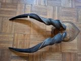 a large horn with long horns on a wooden floor