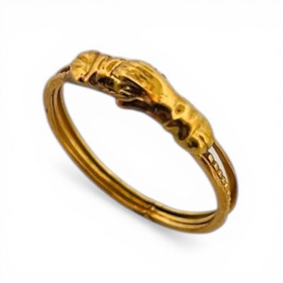 an image of a gold ring with a lion ' s head on it