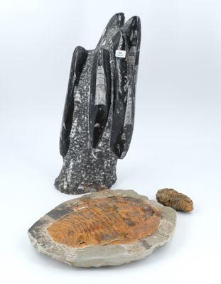 sculpture représentant une tortue et un rocher sur fond blanc