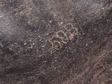 a close up view of an elephant ' s skin with writing on it