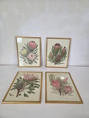 trois photos encadrées représentant des fleurs roses sur un fond blanc