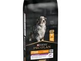 Pro Plan pour chiens adultes de grande race, agneau et riz, 12 kg