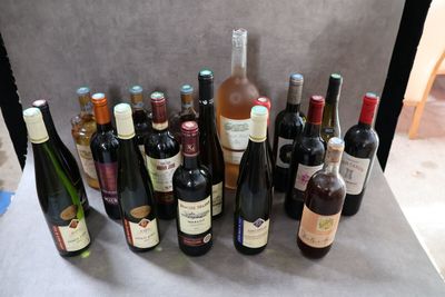 Des bouteilles de vin sont alignées sur une table devant un fond gris.
