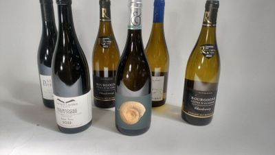 several bottles of wine are lined up on a white surface