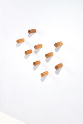 several wooden pegs are arranged on a white surface in a room