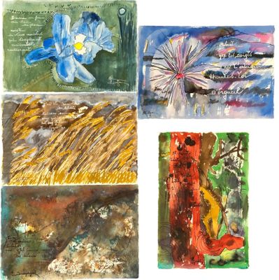 quatre aquarelles représentant des fleurs et des plantes sur fond blanc