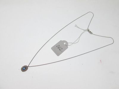 gros plan d'un collier auquel est attachée une étiquette