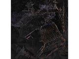 une image représentant une peinture d'une araignée sur fond noir