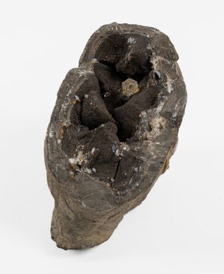 a piece of wood that has been dug into the ground