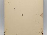 a close up of a piece of paper with a hole in it