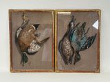 two paintings of birds hanging on a wall next to each other