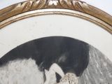 a picture of a dog and a cat in a picture frame