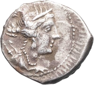 a silver coin with a head of a deer on it