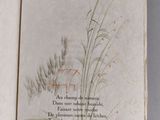 an open book with a picture of a plant on it