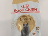 royal canin british shorthair adult dry cat food