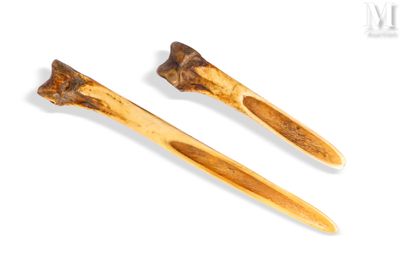 deux brosses à dents posées l'une à côté de l'autre sur une surface blanche