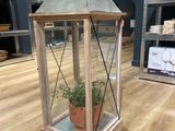 une petite plante en pot placée à l'intérieur d'une lanterne posée au sol