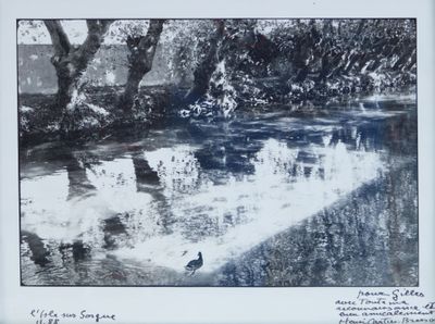 une photo en noir et blanc d'un canard dans l'eau