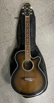 acoustic guitar with hard case on carpeted floor in room