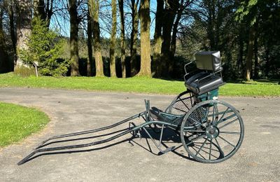 GIG moderne 1 cheval. 2 places, frein à disque, fabrication …