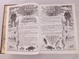un livre ouvert sur lequel est dessiné un homme et un chien