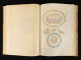 an open book with a drawing of a bird and a flower