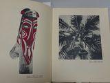 an open book with a picture of a red mask on it