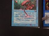 two cards on the table that have a picture of a giant squid on them