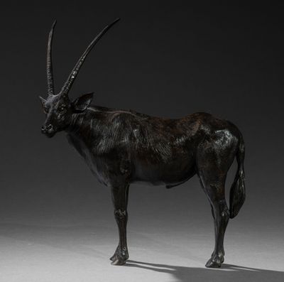 statue of an antelope standing on a white surface with a black background