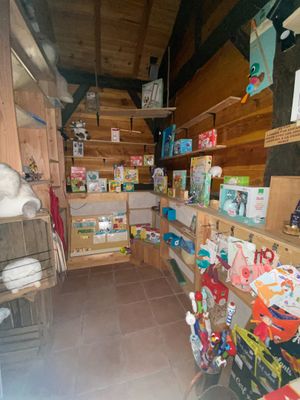 un chat assis sur une étagère dans un magasin
