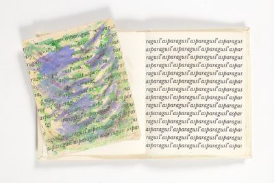 un livre ouvert sur lequel figure l'image d'une fleur violette