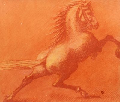 drawing of a horse rearing up on its hind legs