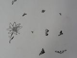a piece of paper that has a drawing of butterflies on it