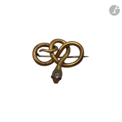 une photo d'une broche en forme de serpent en or, ornée d'un diamant au centre