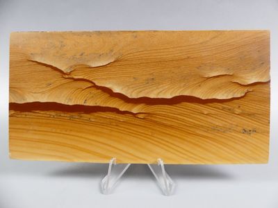 Minéraux de collection. Grès paysager Sandstone. - Photo 1