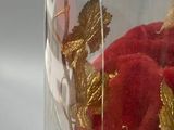 a glass clochet with a red rose under a glass dome