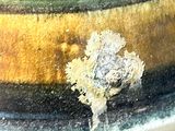 a close up of a vase with a flower on it
