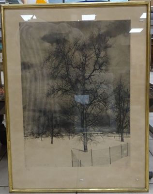 photo encadrée représentant un arbre dans un champ enneigé, avec une clôture