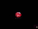 l'image d'une pomme rouge dans l'obscurité