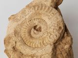 a stone sculpture with a spiral in the middle of it