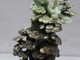 un vase contenant une plante, posé sur une table