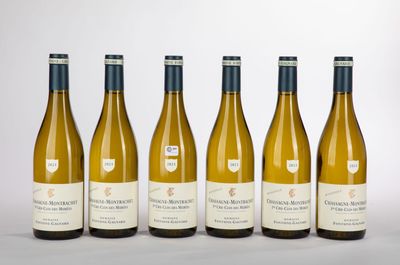 six bouteilles de vin sont alignées sur un fond blanc