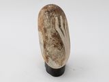 an image of a sculpture of a hand on a stand