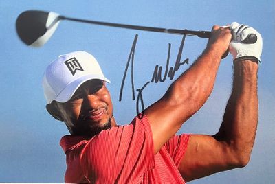 tiger woods autographed photo with golf ball and driver
