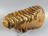 an image of a piece of rock on a clear stand